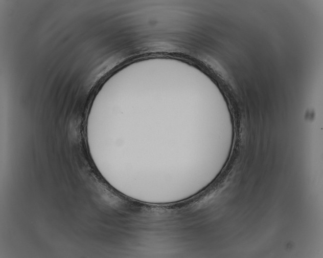 X0000091880873200710031739