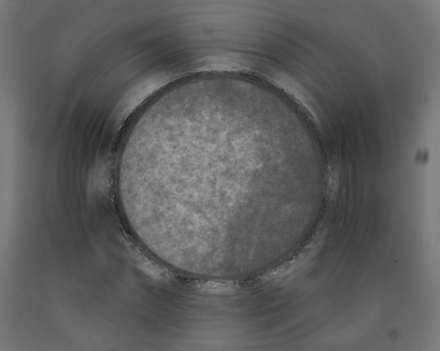 X0000091880874200710031739