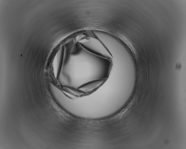 X0000091880876200710031739