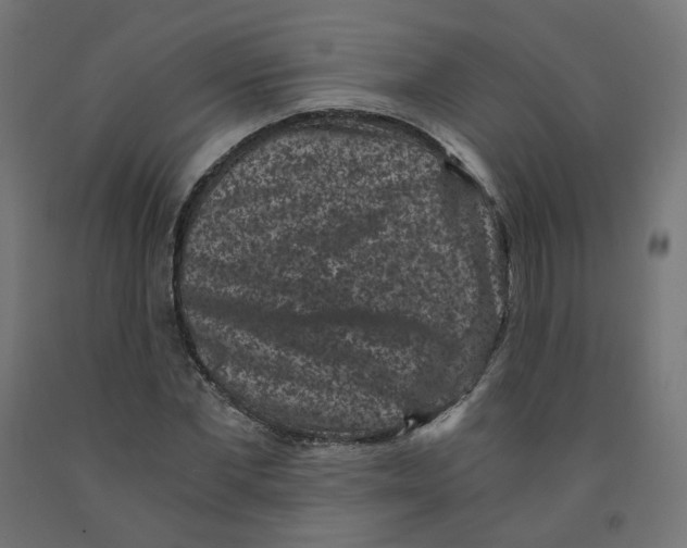 X0000091880877200710031739