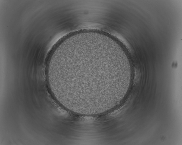 X0000091880878200710031739