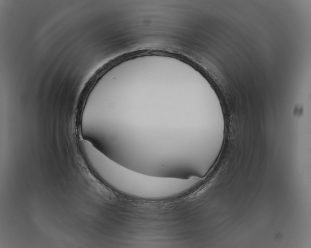 X0000091880880200710031739