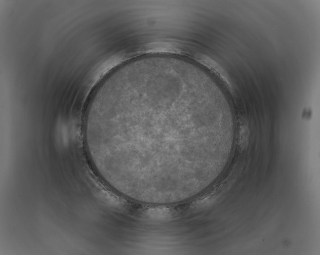 X0000091880882200710031739