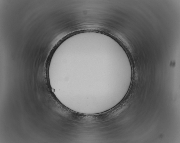 X0000091880883200710031739