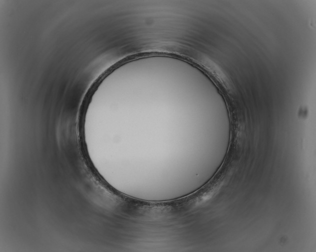 X0000091880884200710031739