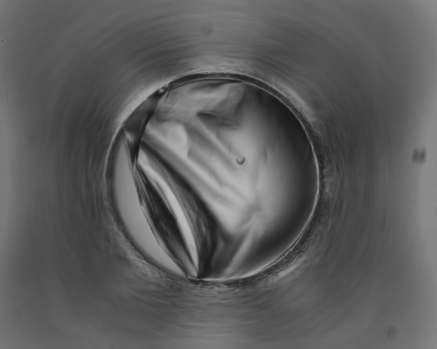 X0000091880885200710031739