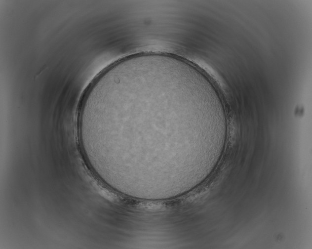 X0000091880886200710031739