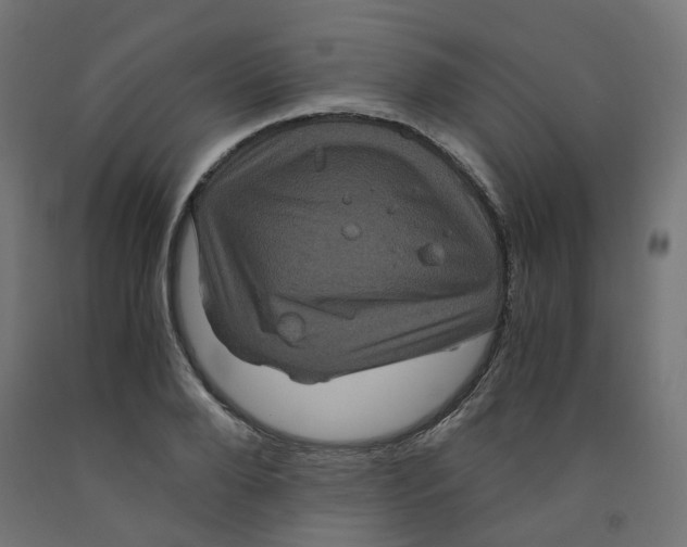 X0000091880888200710031739