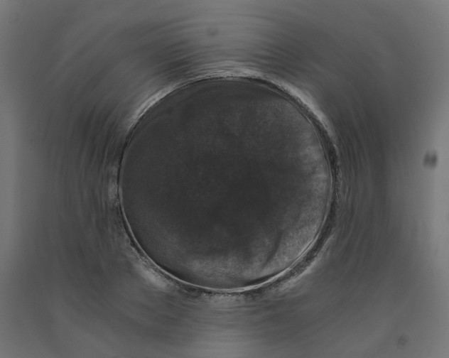 X0000091880889200710031739