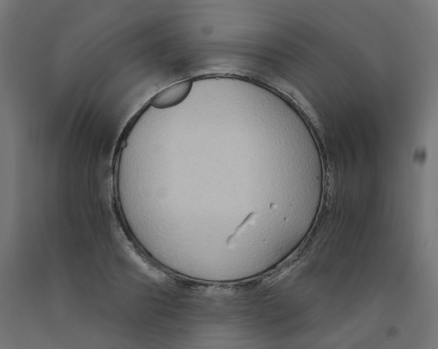 X0000091880890200710031739