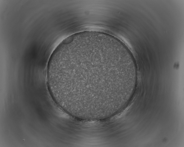 X0000091880891200710031739