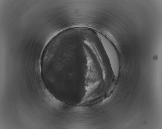 X0000091880892200710031739