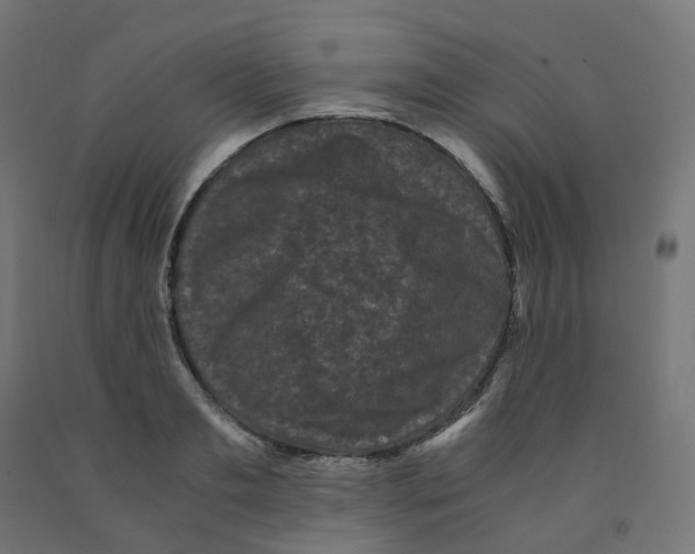 X0000091880893200710031739