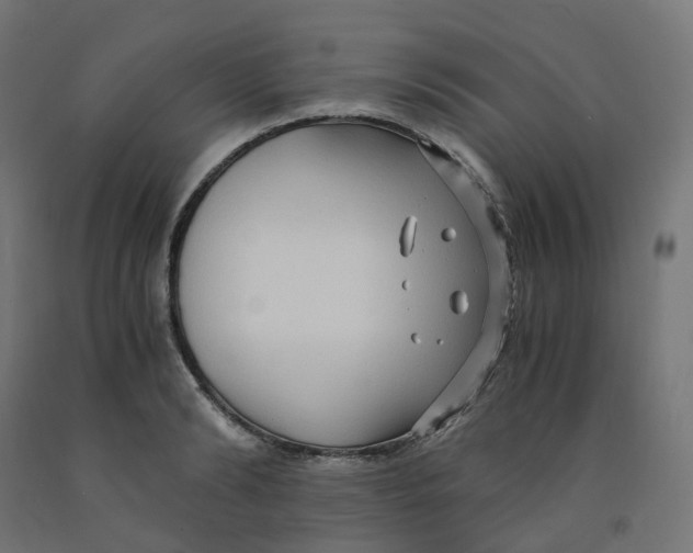 X0000091880894200710031739