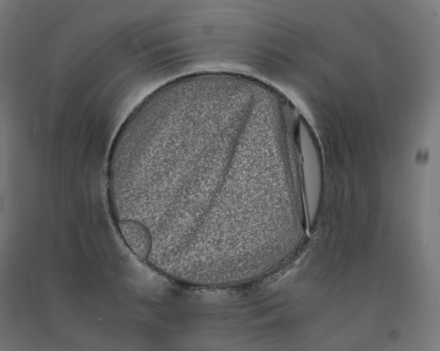 X0000091880895200710031739