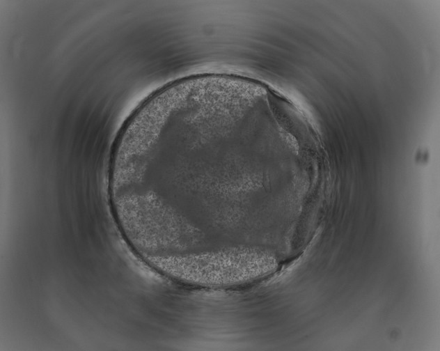 X0000091880896200710031739