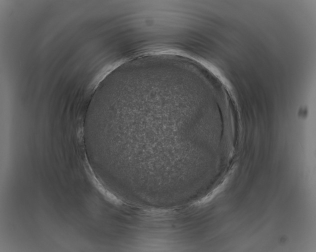 X0000091880897200710031739