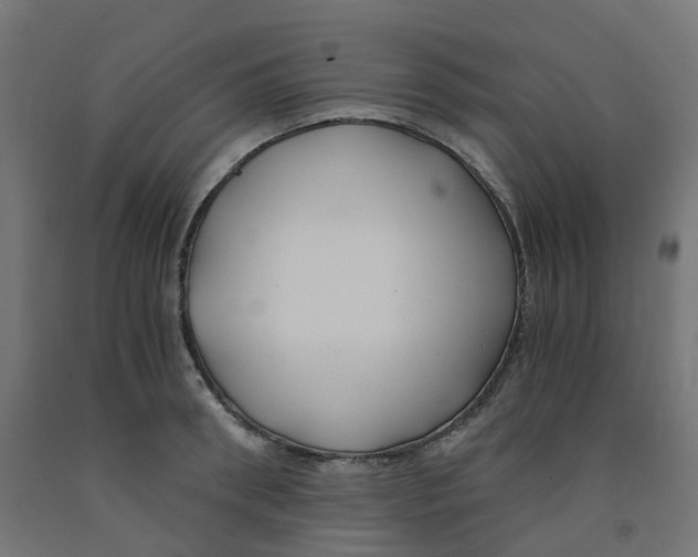 X0000091880898200710031739