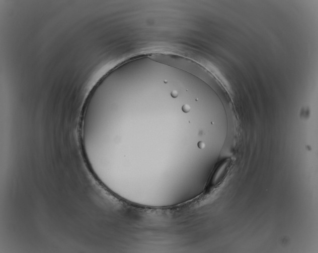 X0000091880901200710031739