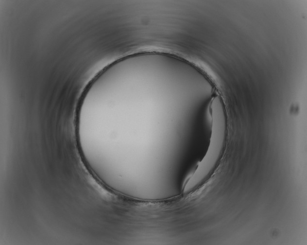 X0000091880902200710031739