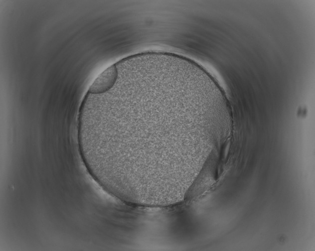 X0000091880903200710031739