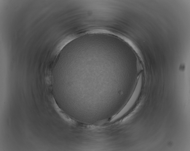 X0000091880905200710031739