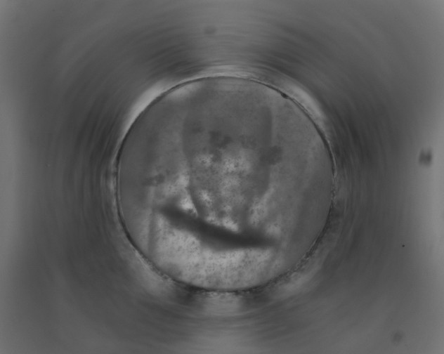 X0000091880907200710031739