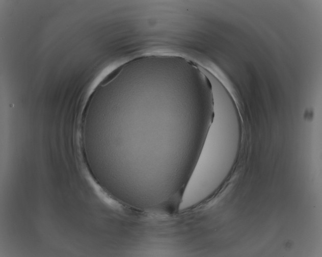 X0000091880909200710031739