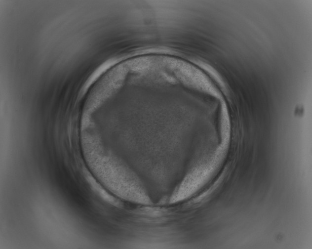 X0000091880910200710031739