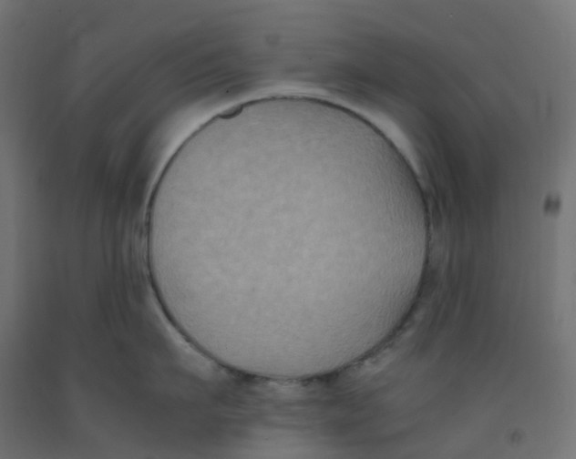 X0000091880911200710031739