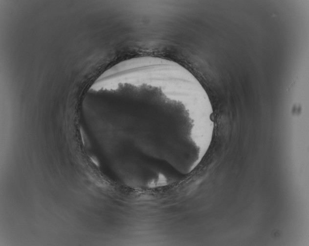 X0000091880913200710031738