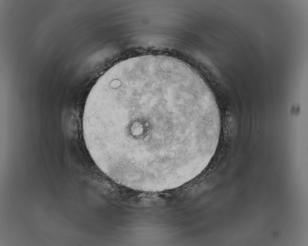 X0000091880918200710031738