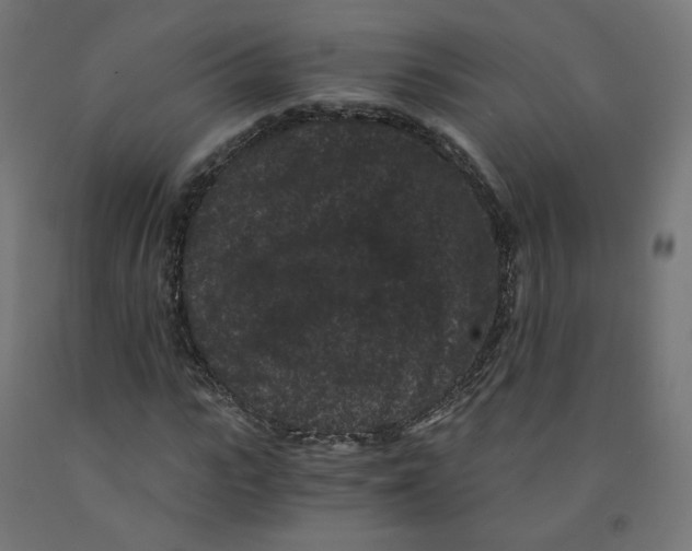 X0000091880919200710031738