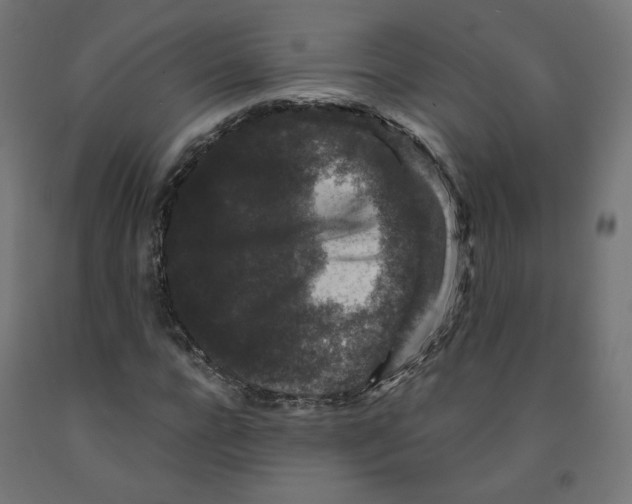 X0000091880920200710031738