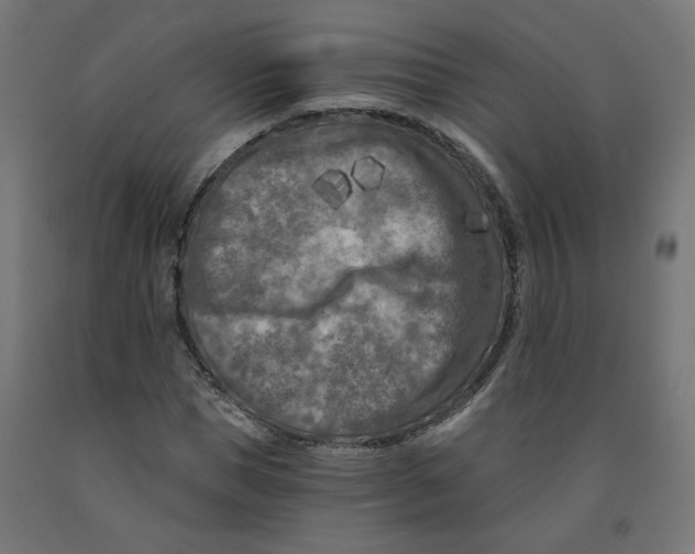 X0000091880921200710031738