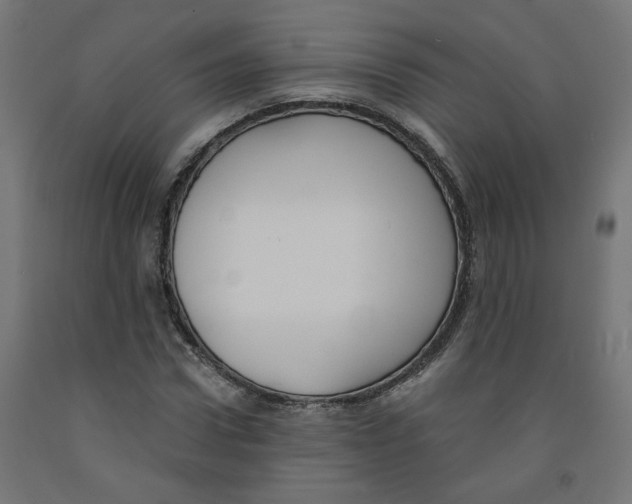 X0000091880922200710031738