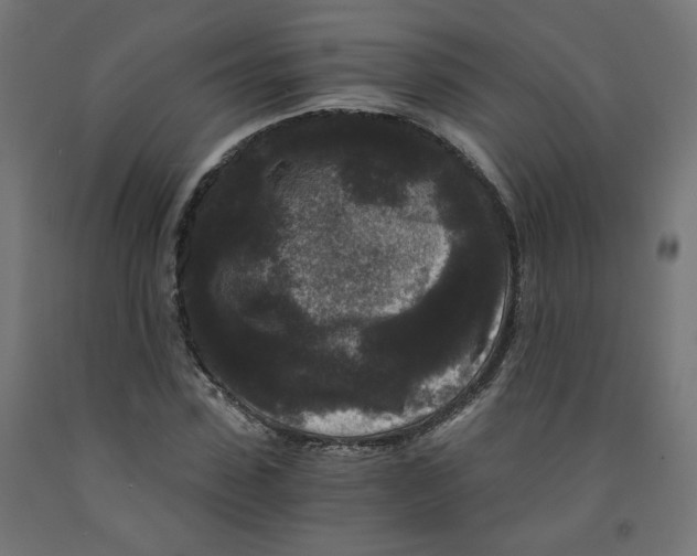 X0000091880923200710031738