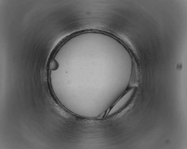 X0000091880924200710031738