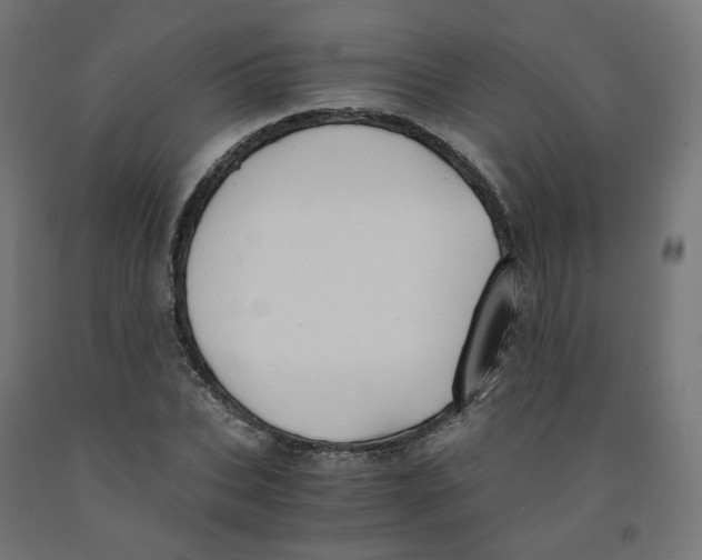 X0000091880927200710031738