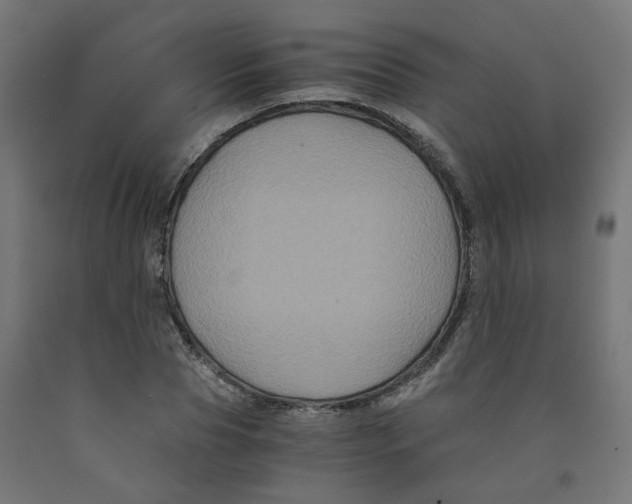 X0000091880929200710031738