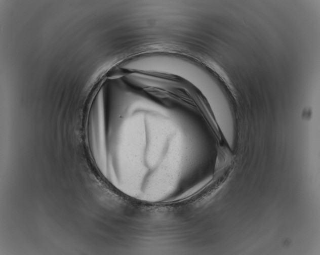 X0000091880930200710031738