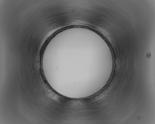 X0000091880931200710031738