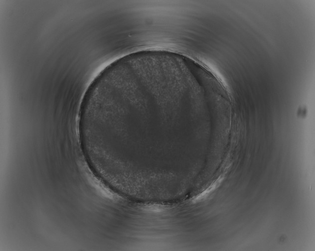 X0000091880932200710031738