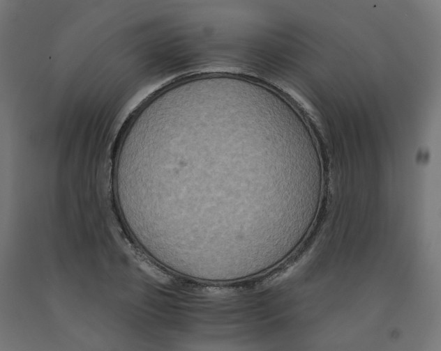 X0000091880933200710031738