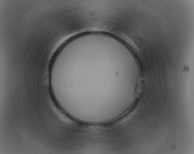 X0000091880934200710031738