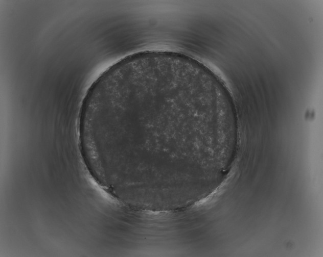 X0000091880935200710031738