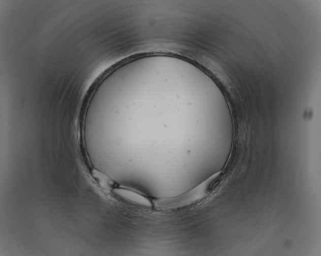 X0000091880936200710031738