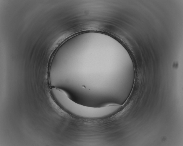 X0000091880938200710031738