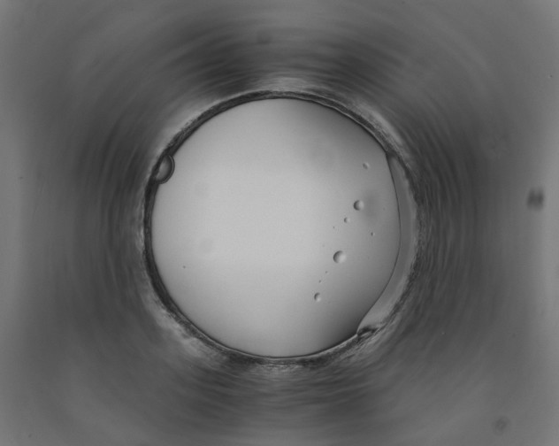 X0000091880939200710031738