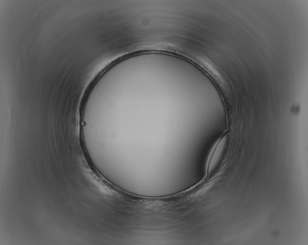 X0000091880940200710031738